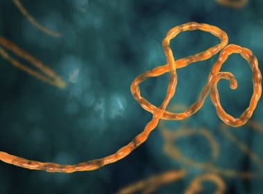EUA vai a Serra Leoa averiguar casos de Ebola após vírus ter sido erradicado