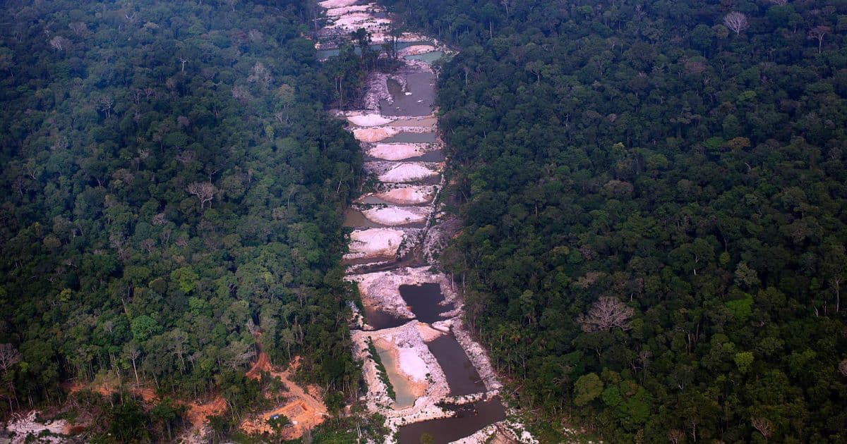 Enviado de Biden diz que precisa discutir com Brasil para Amazônia não desaparecer