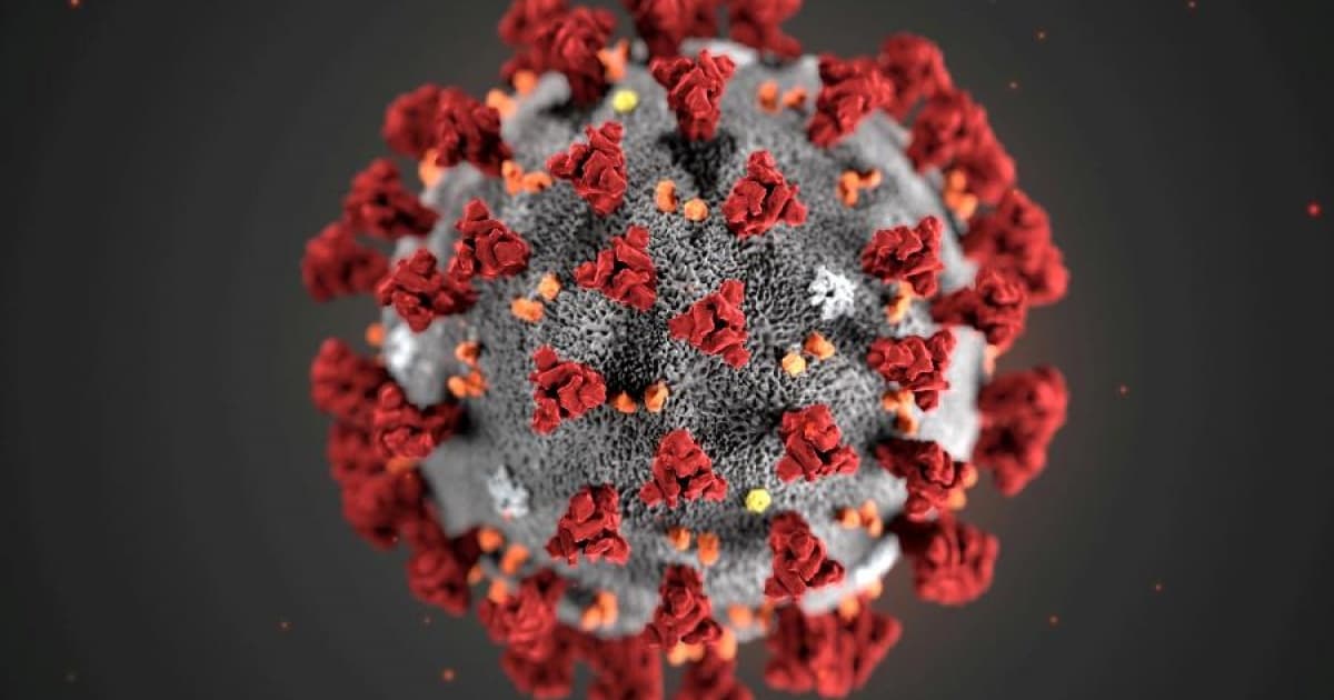 Novo teste detecta infecção por coronavírus em diferentes espécies animais