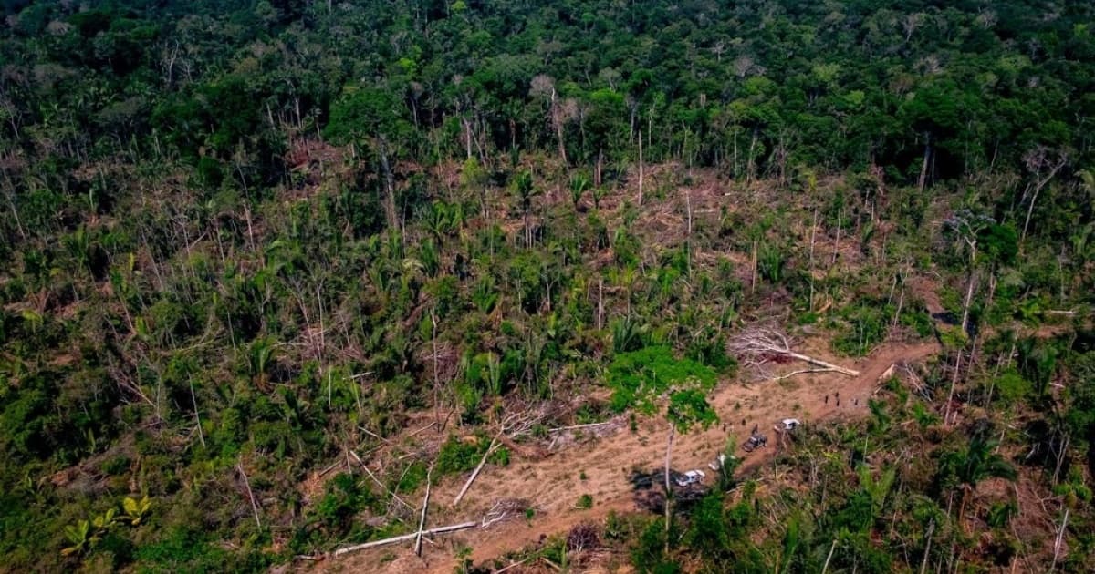 Desmatamento é recorde em setembro no cerrado, enquanto cai 59% na amazônia