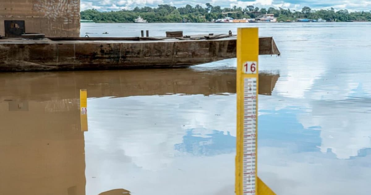 Seca extrema faz rios Negro, Solimões, Amazonas e Madeira atingirem mínimas históricas