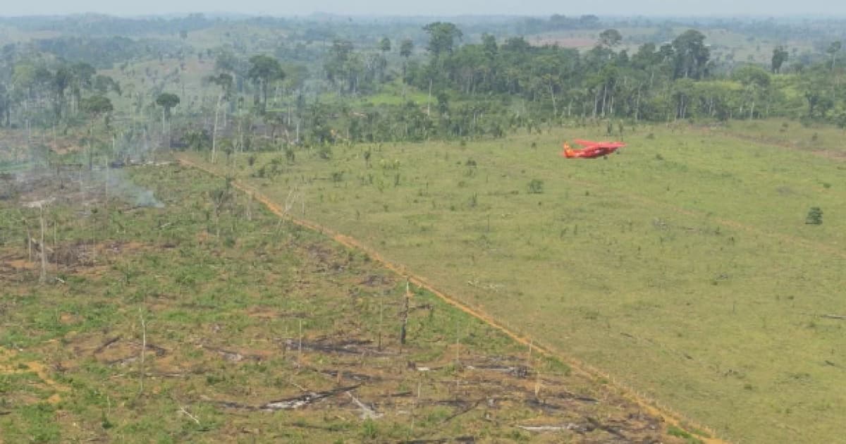 Alertas de desmatamento na amazônia caem 30% em fevereiro