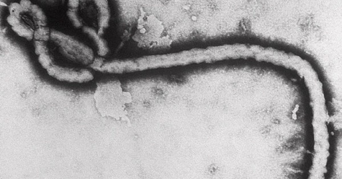Ebola se espalha e chega a cidade do Congo próxima a fronteira com Ruanda