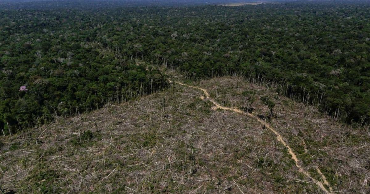 Não publicar balanço em jornal combate desmatamento, diz Bolsonaro