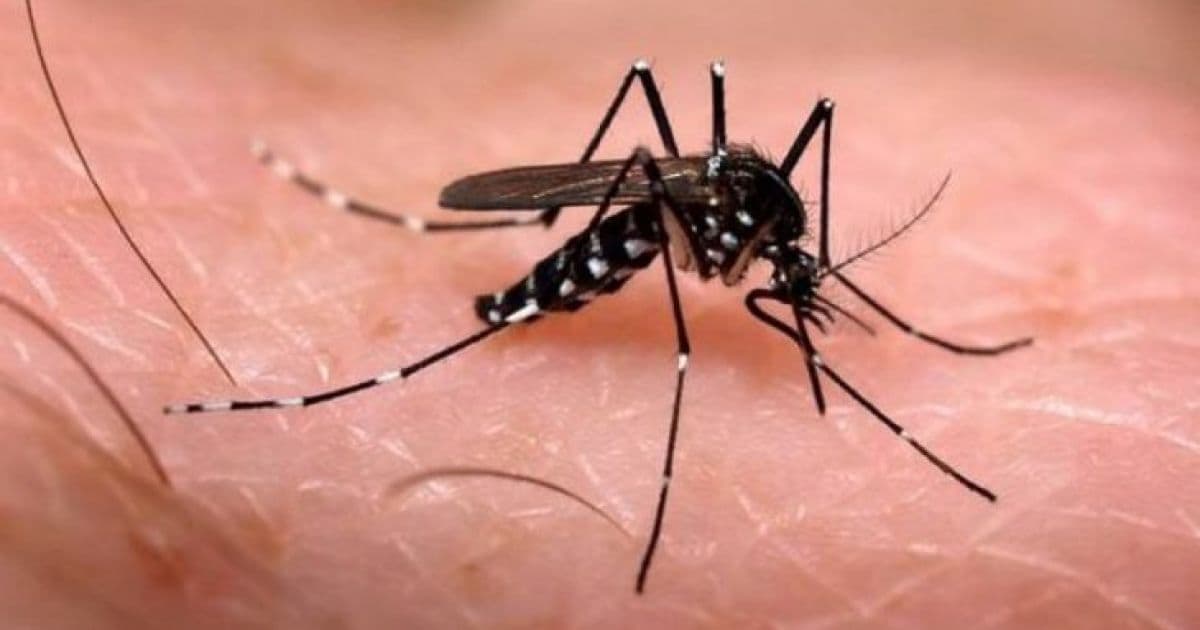 Casos de dengue crescem 599% em oito meses e Ministério da Saúde lança nova campanha