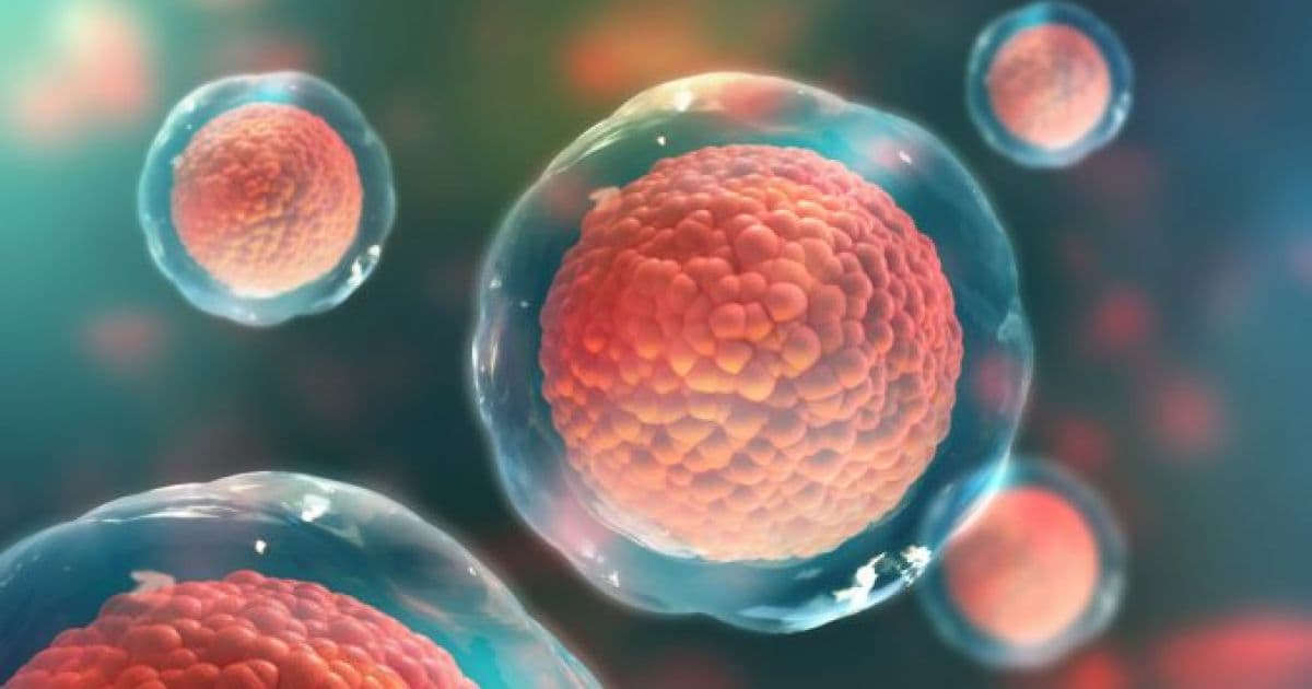 Brasil entra em projeto que quer mapear células humanas; pesquisa envolve câncer