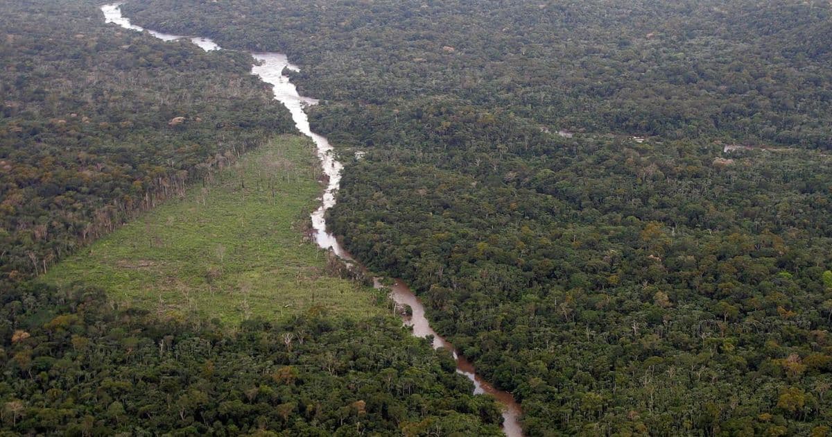 Fundos que administram R$ 65 trilhões pedem ao Brasil que proteja Amazônia