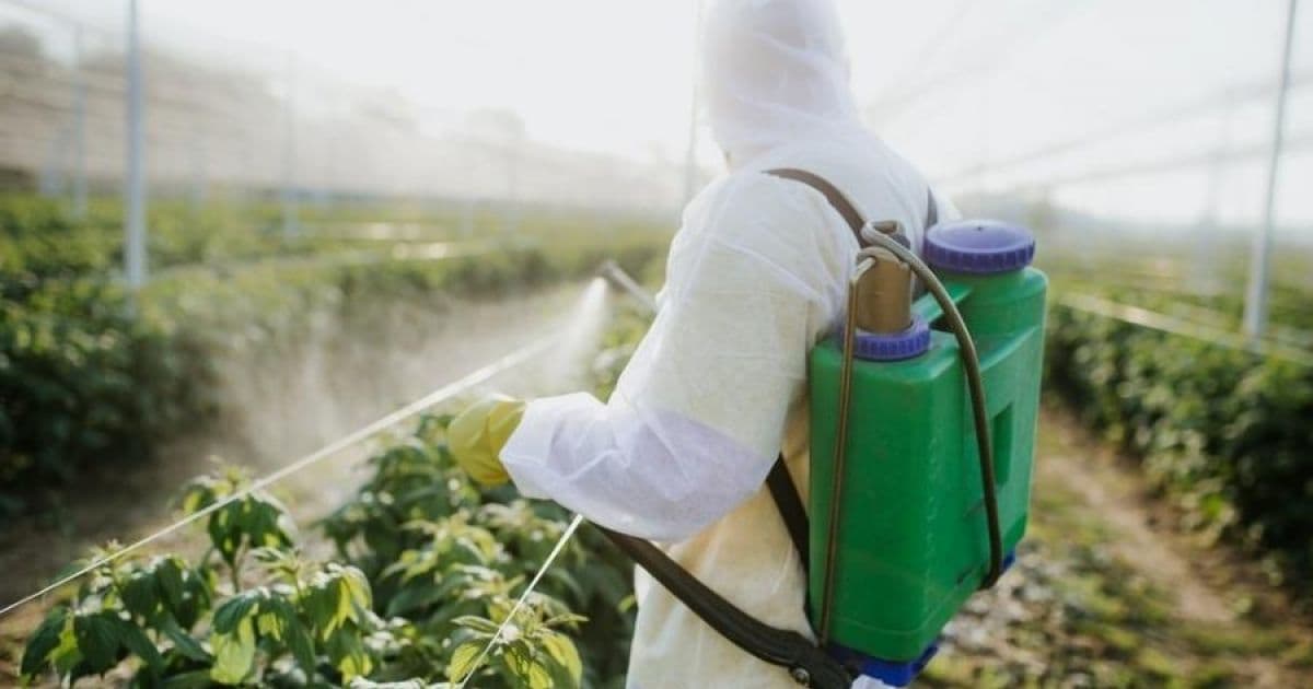 UE proíbe 30% dos ingredientes de agrotóxicos liberados no Brasil em 2019
