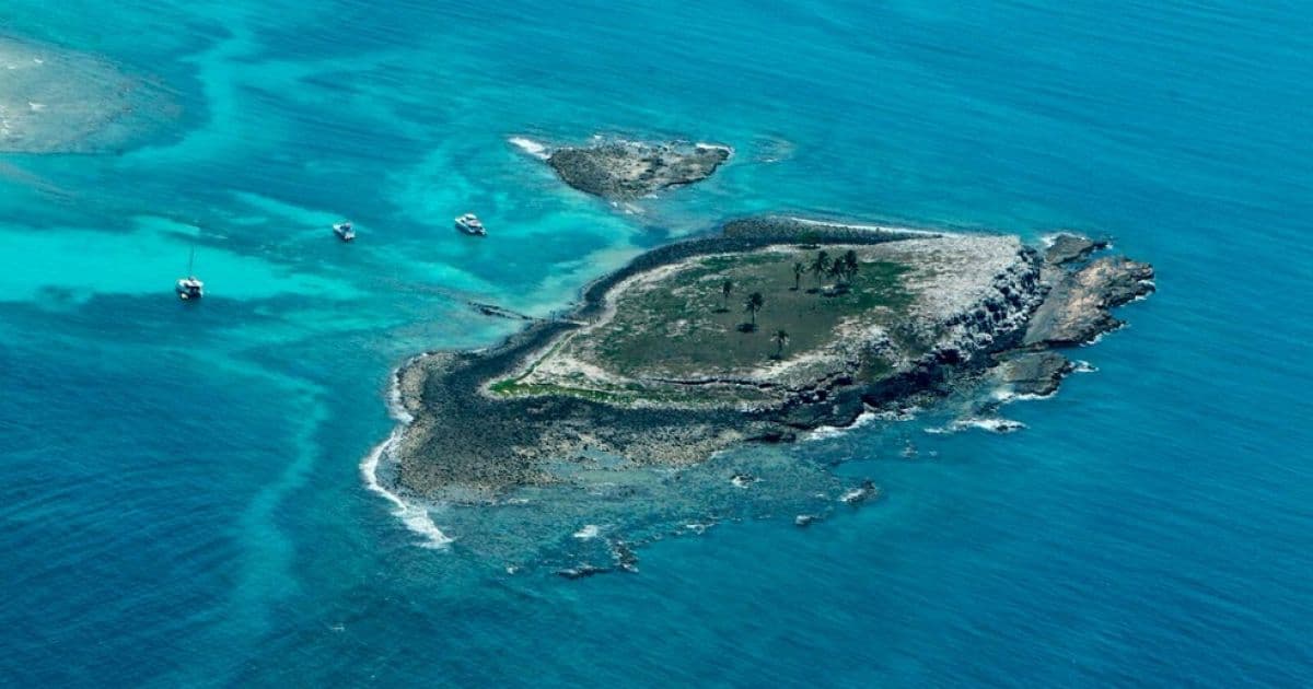 Fechado por manchas de óleo, parque marinho de Abrolhos é reaberto para visitação na Bahia