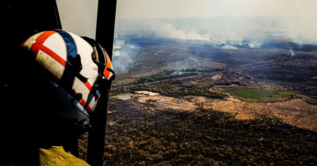 Pantanal perdeu 10% de sua vegetação em 2020 pelas queimadas