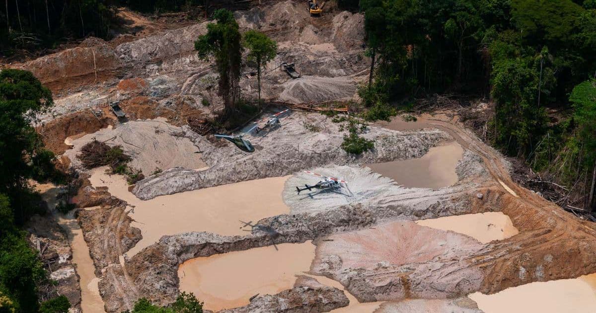 Alta no preço do ouro impulsiona garimpo ilegal na Amazônia