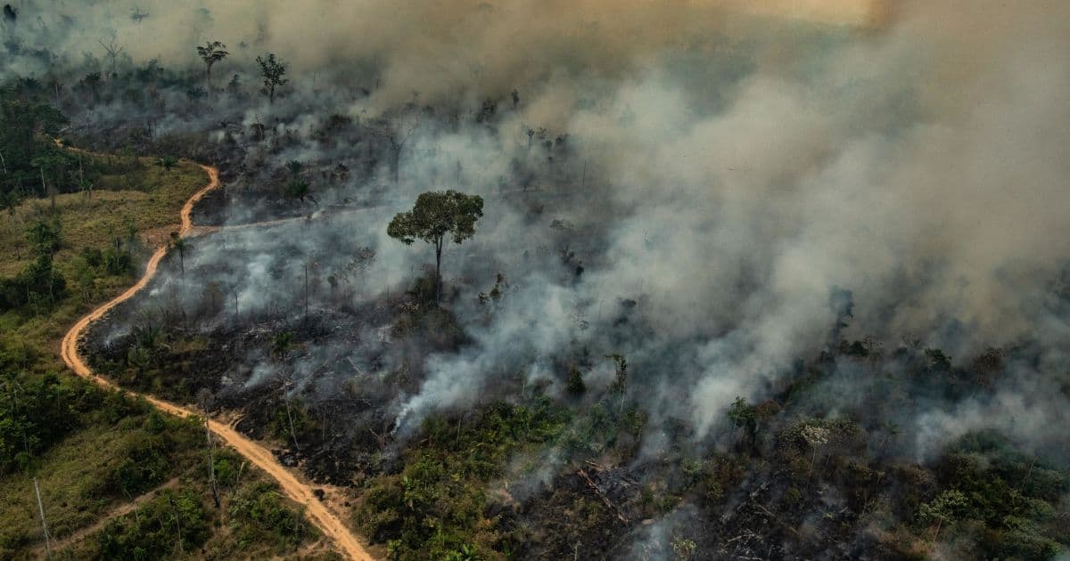 Mesmo com Exército, Amazônia tem segundo pior agosto de queimadas dos últimos dez anos