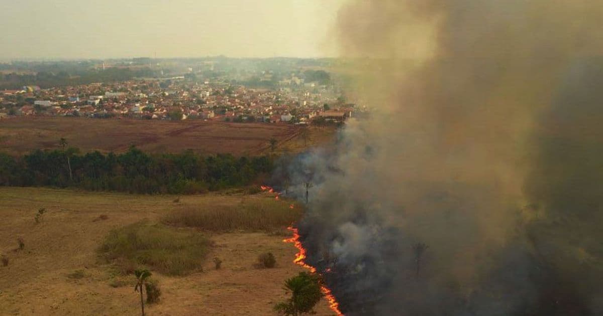 Senadores de comissão de queimadas no Pantanal querem leis específicas para região