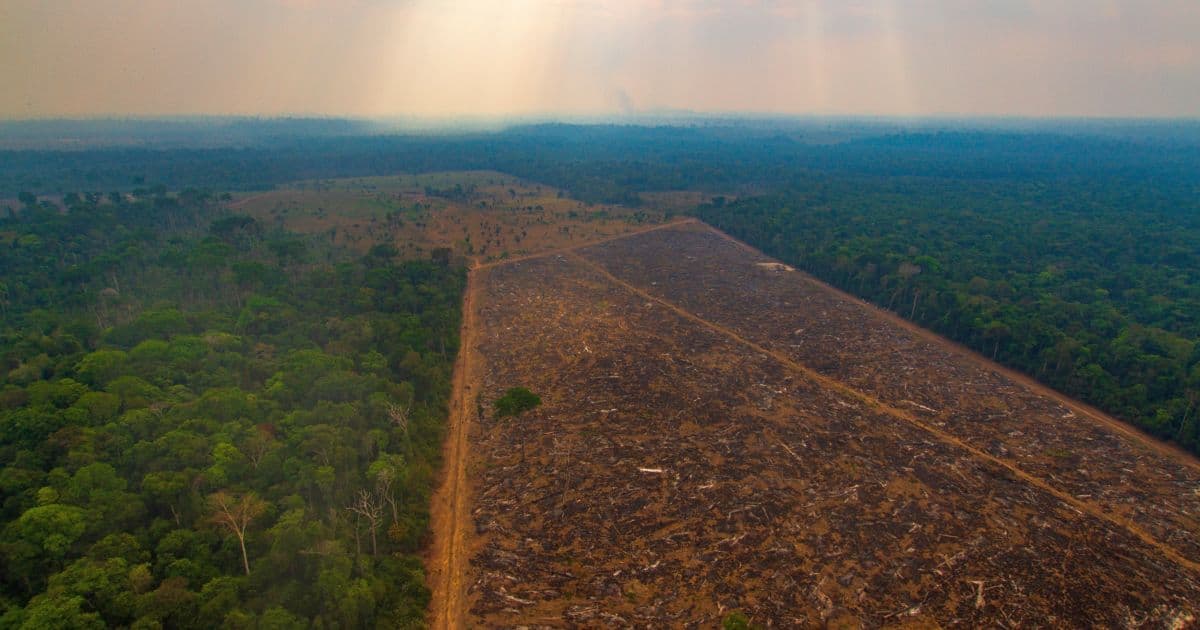 Governo diz que fracasso do acordo UE-Mercosul vai aumentar devastação da Amazônia