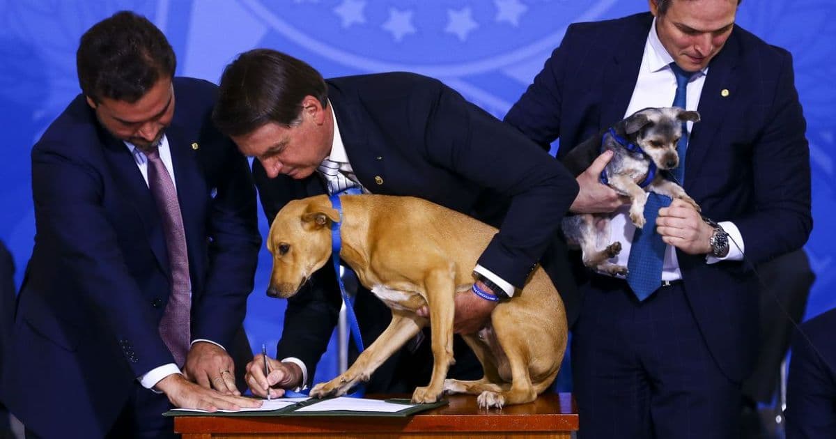 Bolsonaro defende vacina obrigatória apenas para cachorro