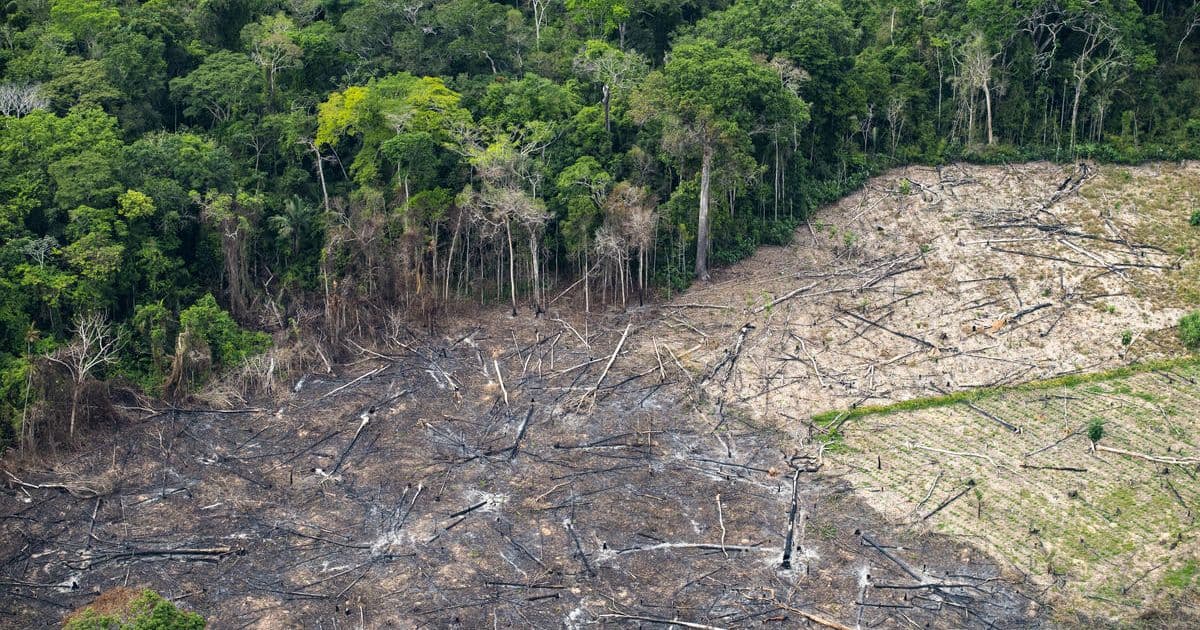 Mídia estrangeira sobre Amazônia e Pantanal cresce 192% e aponta crise de reputação 