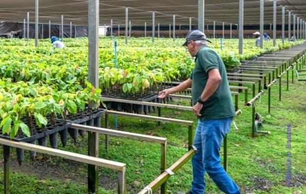 Desafio Ambiental: Agroexportadora high-tech aposta em sustentabilidade no cerrado baiano