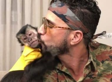Macaco de Latino morre atropelado: ‘Hoje é o dia mais infeliz da minha vida’