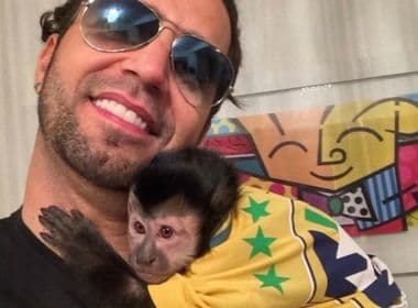 Perfil do macaco de Latino publica cremação do animal e vídeo comove web; veja 