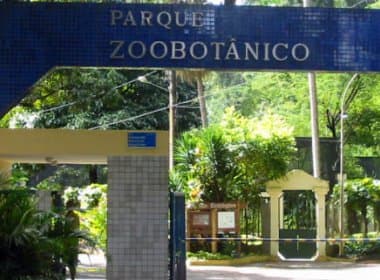 Justiça determina que Estado da Bahia adote medidas para evitar fechamento de zoológico