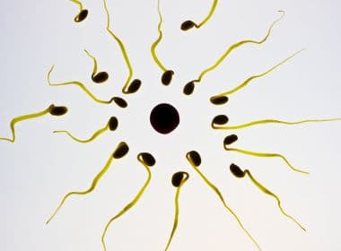 TJ-BA condena Unimed a custear fertilização in vitro de paciente