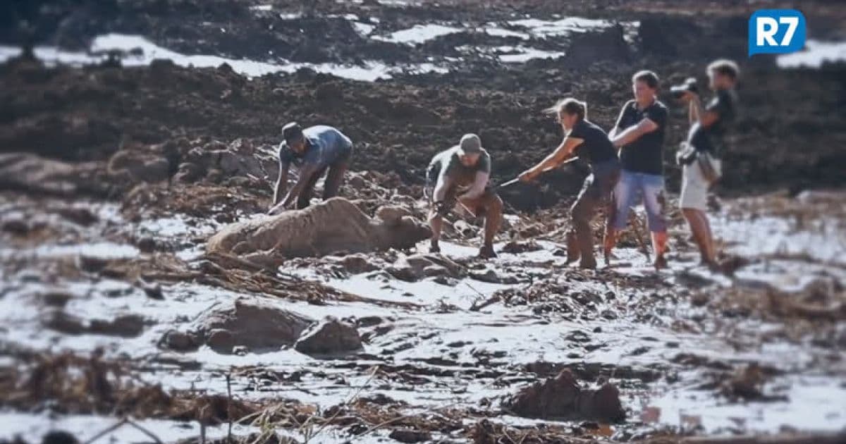Justiça obriga Vale a socorrer animais atingidos pela lama em Brumadinho