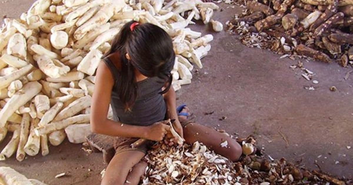 Trabalho infantil na agricultura é um dos piores para infância, alerta procuradora