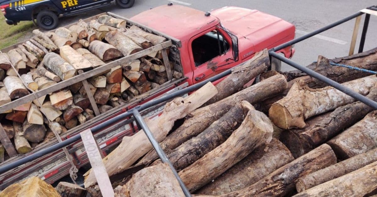 MP-BA ajuiza ação por transporte de madeira sem licença ambiental na região de Jequié