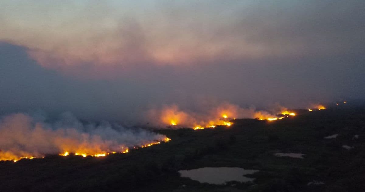 OAB cobra investigação e medidas de combate a incêndios no Pantanal