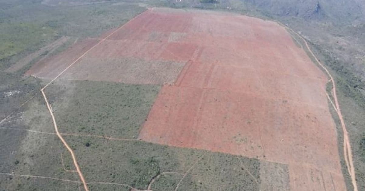 Piatã: Ministério Público ajuíza ação contra desmatamento ilegal em fazenda