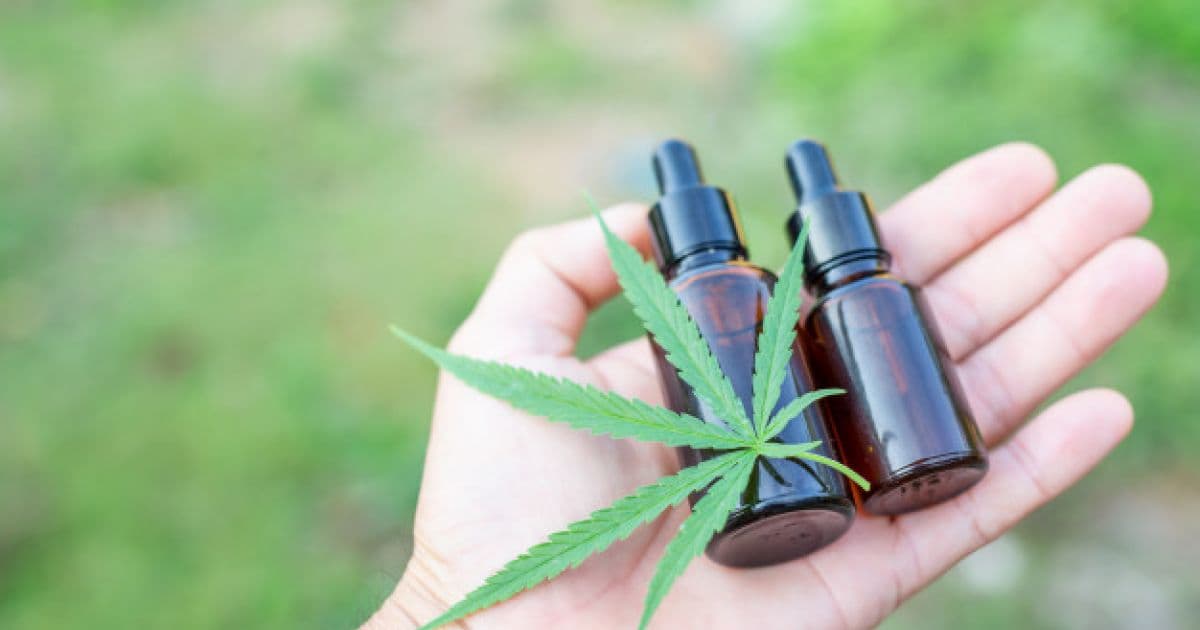 Ao menos 500 baianos serão afetados se ONG deixar de fabricar medicação de cannabis