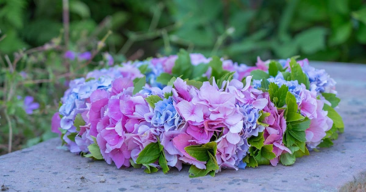 STJ vai comprar coroas de flores fúnebres 'antecipadas' para autoridades