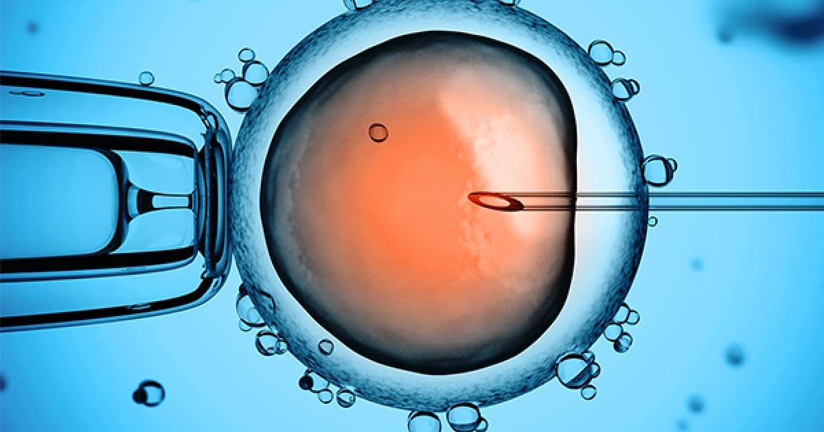 Justiça autoriza descarte de embriões de fertilização in vitro após divórcio