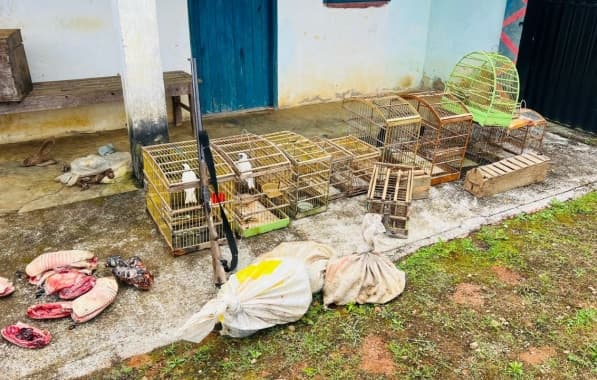 MP-BA resgata animais silvestres e armas de fogo durante Operação “O Dia da Caça”