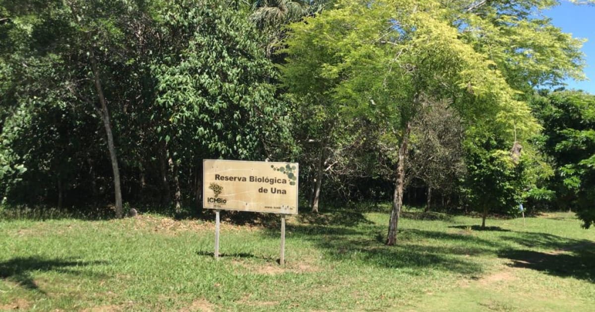 MPF e ICMBio identificam venda ilegal de terrenos e irregularidades na atuação da Neoenergia em unidades de conservação no sul da Bahia