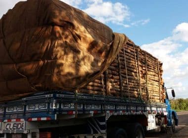 Senhor do Bonfim: Operação apreende 93 m³ de madeira proibida de venda