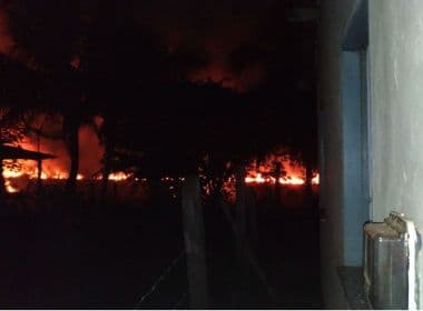Maraú: Incêndio atinge vegetação perto de praia; veja vídeo