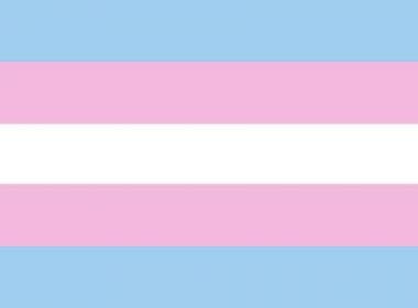 Universidade baiana é a primeira do país a oferecer cotas para transexual e travestis
