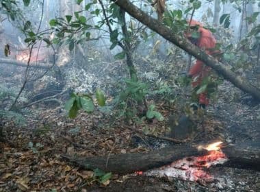Camaçari: Incêndio volta a atingir área de vegetação em Barra de Jacuípe