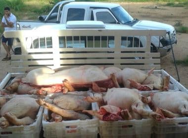 Correntina: MP fecha abatedouro clandestino e apreende 1,6 tonelada de carne insalubre