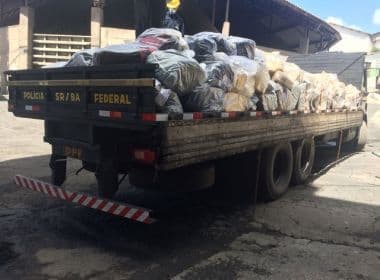Quase cinco toneladas de drogas são apreendidas na Bahia em cinco meses