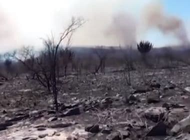 Sento Sé: Incêndio destrói mais de mil hectares de Parque Nacional Boqueirão da Onça