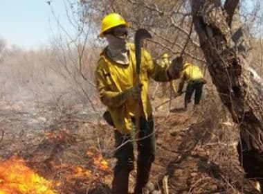 Incêndio em Parque Nacional Boqueirão da Onça consome mais de 3,5 mil hectares