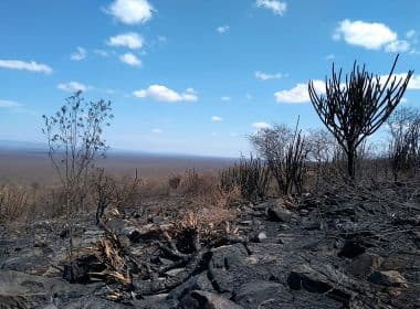 Incêndio no Parque Nacional Boqueirão da Onça é considerado extinto segundo ICMBio