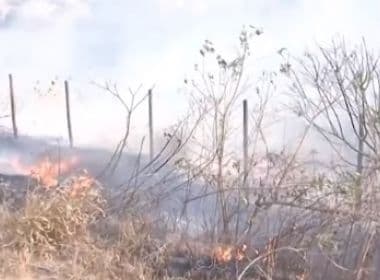 Teixeira: Incêndios em vegetação chegam a 155 em intervalo de 3 meses