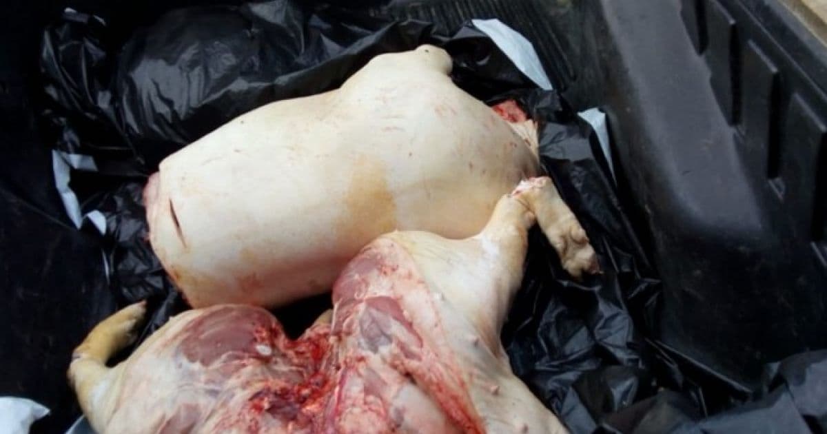 Jaguaquara: Vigilância Sanitária apreende 95 kg de carne suína imprópria para o consumo