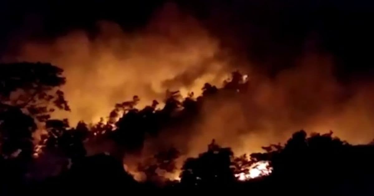 Brejões e Amargosa: Incêndio atinge área de mata próxima a casas 