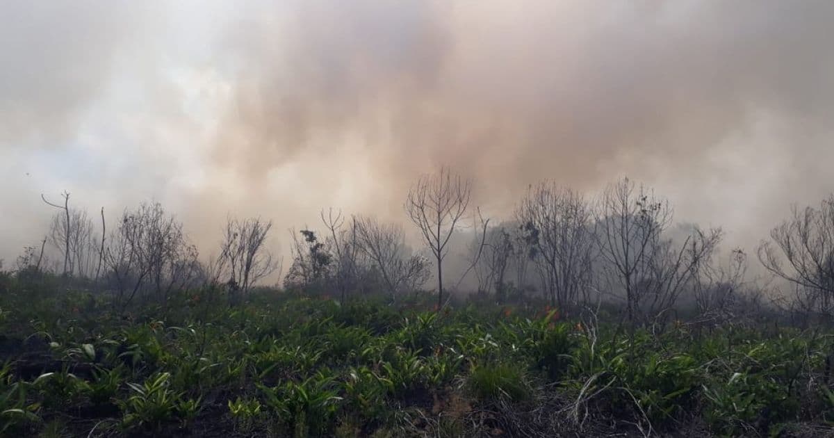 Porto Seguro: Incêndio que atinge Parque Nacional tem novos focos