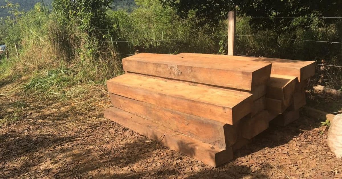 Itagibá: Carga com sete toneladas de madeira nativa da Mata Atlântica é apreendida