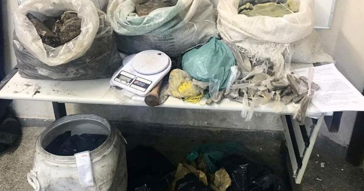 Em operação conjunta, 60 quilos de maconha são encontrados enterrados em Camaçari 